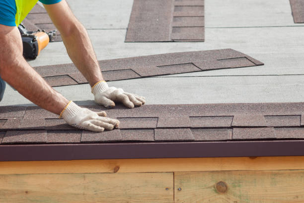 Best Skylight Installation and Repair  in Albany, CA